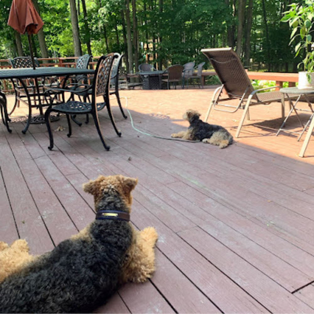 Meet your Posher, Estelle